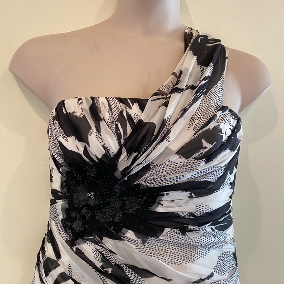 Carmen Marc Volvo dress 10